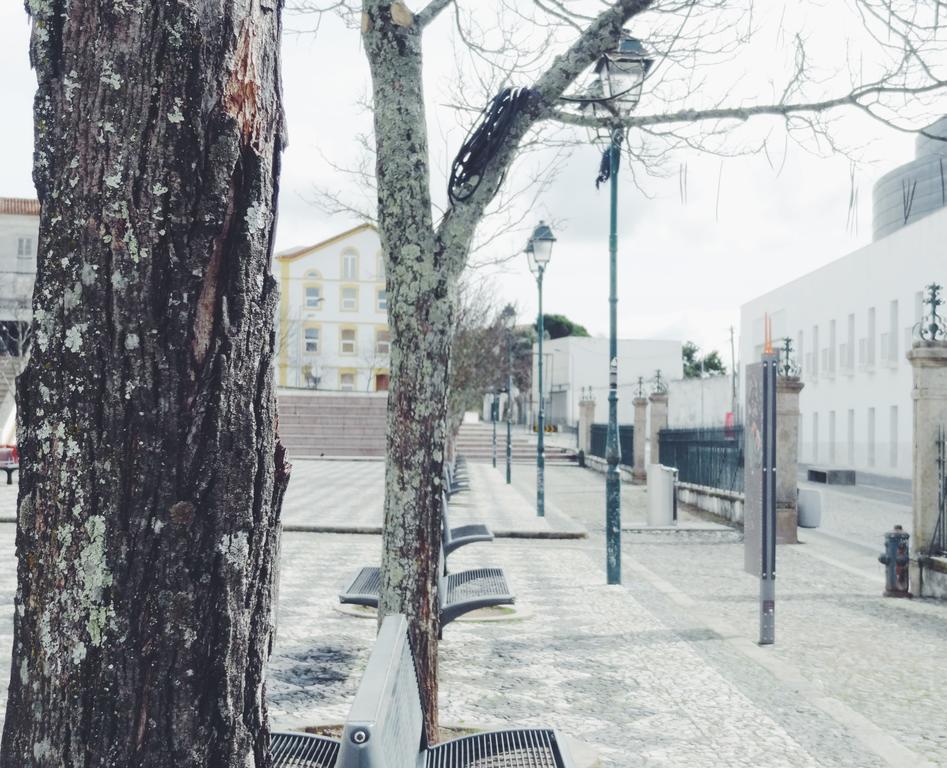 ホテル Mansao Alto Alentejo ポルタレグレ エクステリア 写真