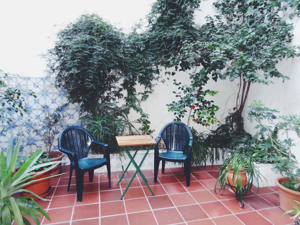 ホテル Mansao Alto Alentejo ポルタレグレ エクステリア 写真